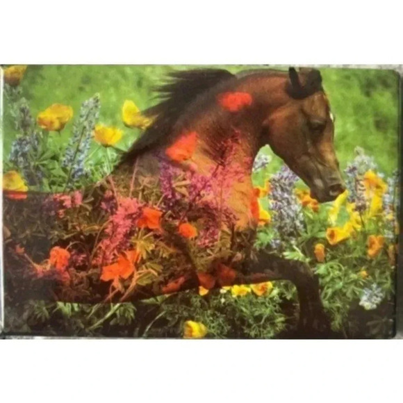 Horse Galloping Combo Pack VTG Leanin' Tree Greeting Card & Magnet Robert Vavra - Picture 9 of 16